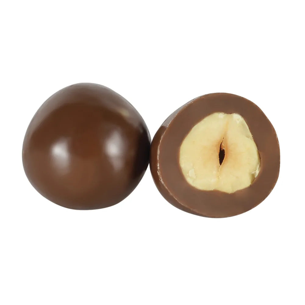 Chocolate Coated Hazelnuts Dragee 100g