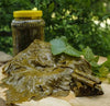 Grape Vine Leaves 1kg - Tokat Erbaa Asma Leaves