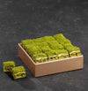 Pistachio Garden and Pistachio Cream Turkish Delight 100g